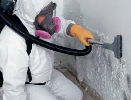 Best Mold Odor Removal Services  in Old Westbury, NY